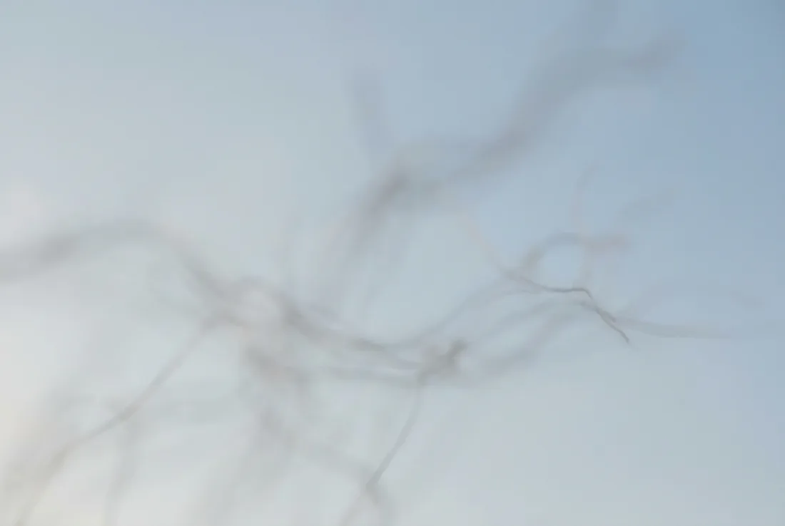 A pale, bright sky with faint drifting thread-like shadows, evoking the look of eye floaters